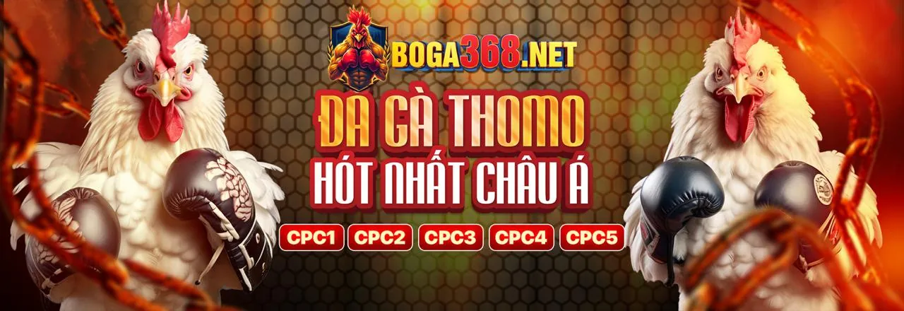 Đá gà trực tuyến Sonclub